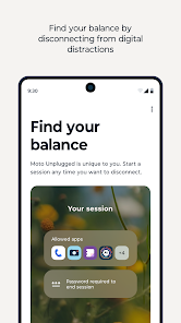 Screenshot image