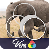 Venn Elephants: Circle Jigsaw icon