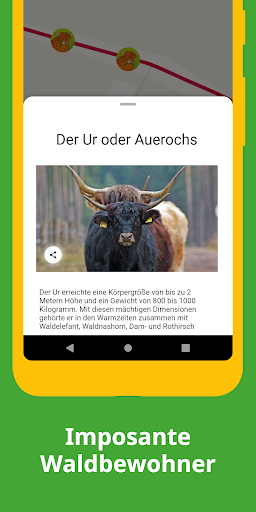 NGP Senne Screen 2