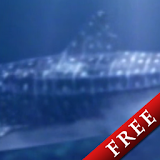 Whale Shark Trial icon