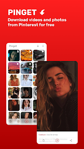 Pinterest Video Downloader 1