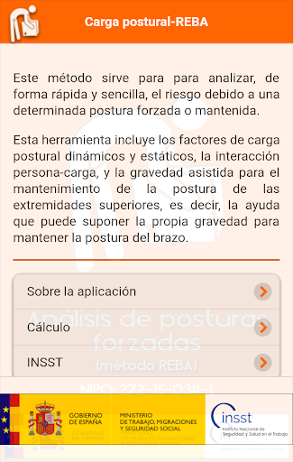 Carga postural - REBA Screen 2