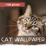 Cover Image of ดาวน์โหลด Cats Phone Wallpaper  APK