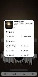 Poweramp v957 MOD+APK (Full Patched) Gallery 1