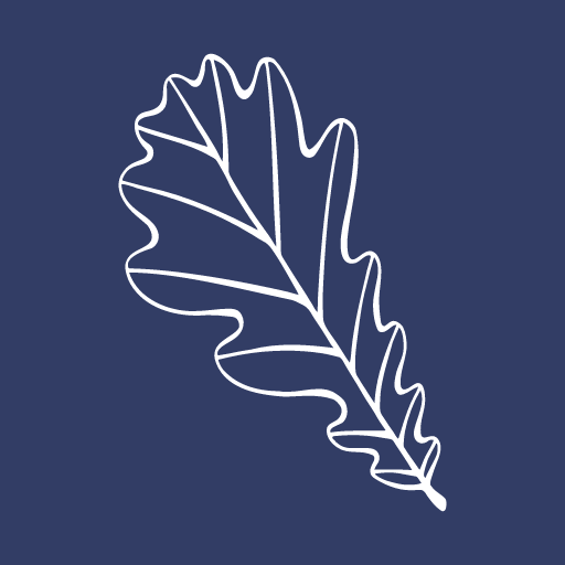 Aderen logo