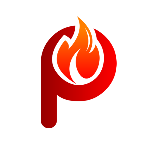 Pyro Netsis Mobil logo