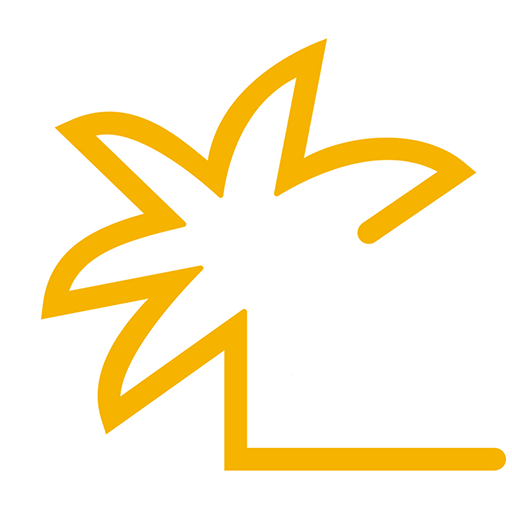 Importaco Connect logo
