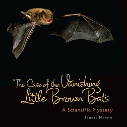 Icon image The Case of the Vanishing Little Brown Bats: A Scientific Mystery