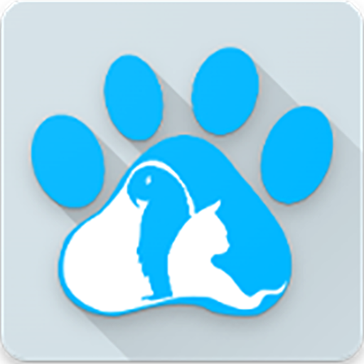 أنيماس Animass logo