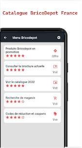 Catalogue Bricodepot France