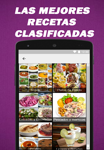Recetas de Comidas Peruanas Screen 2