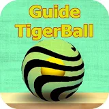 Guide For Tigerball icon