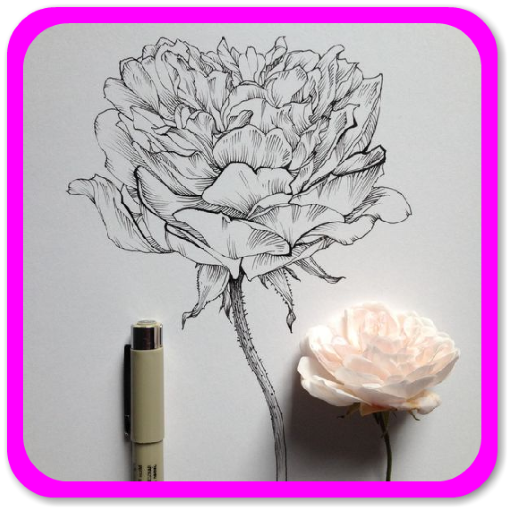 How to draw flowers