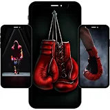 Boxing Wallpapers icon