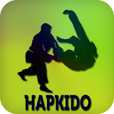 Hapkido icon