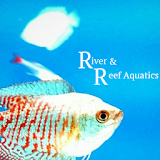 River And Reef Aquatics icon