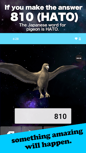 Pigeon Calculator Screen 3