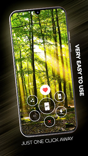 Forests wallpaper in 4K Screen 2