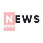 Newz - Flutter News Mobile App Apk