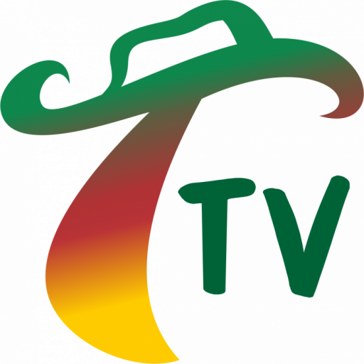 Tchê Tv