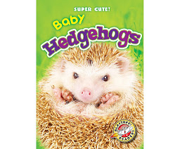 Obraz ikony: Baby Hedgehogs: Blastoff! Readers: Level 1