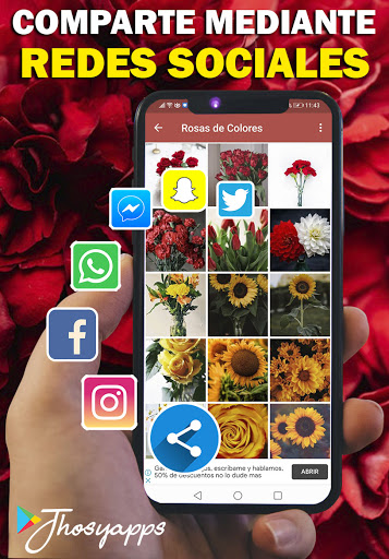 Flores y Rosas Rojas imágenes Screen 3