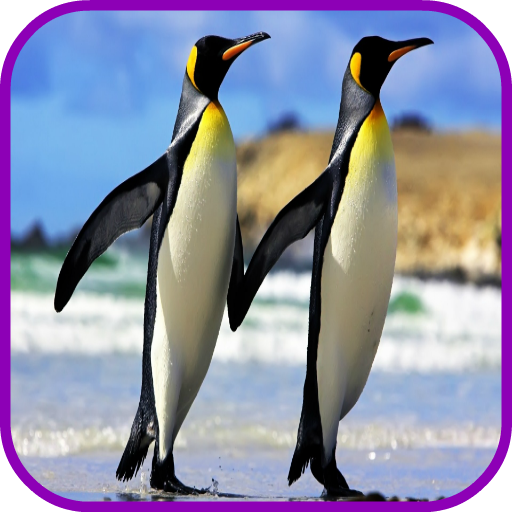 ペンギンの壁紙 Google Play のアプリ