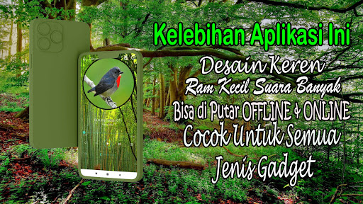 Suara Pikat Burung Cabai