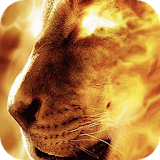 Lioness in Flame a live icon