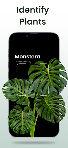Android application Plantiary - Plant Identifier screenshort
