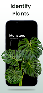 Plant Identifier App Plantiary Unknown