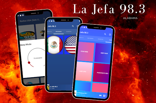 Vista previa de la aplicación