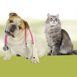 Pet Care Health icon