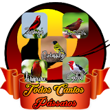 Todos Cantos Pássaros Brasil icon