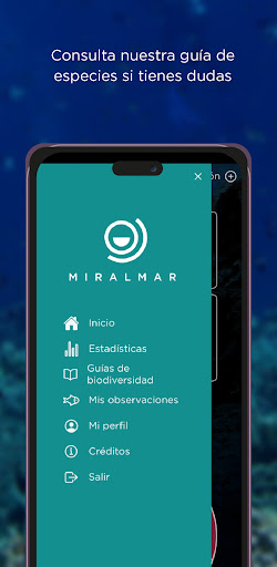 Miralmar Screen 3