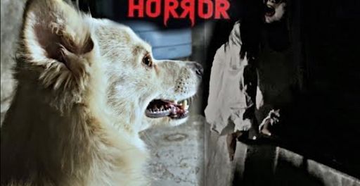 Scary Videos  Horror Movie clips