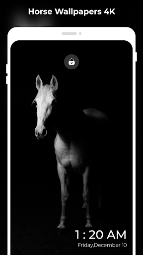 Horses Wallpapers: FULL HD 4K Screen 2