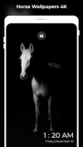 Horses Wallpapers: FULL HD 4K