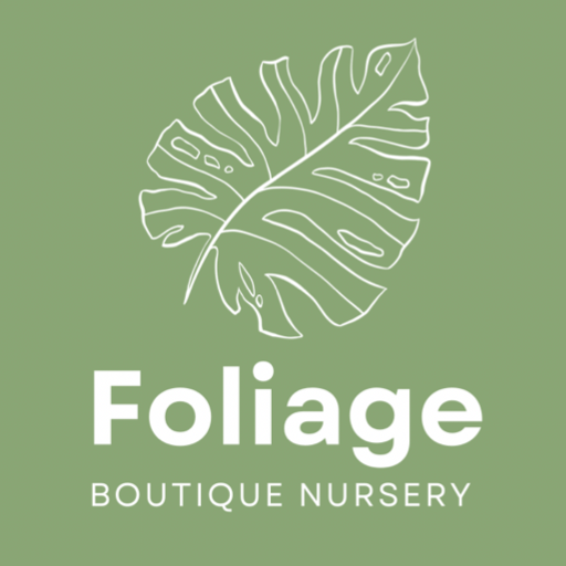 Foliage Namibia logo