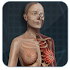 Female Anatomy 3D : Female 3D organs Anatomy1.0.3