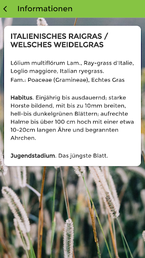 Wiesen Pflanzen e-Karten Screen 3