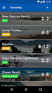 Surfline Surf Reports/Forecast