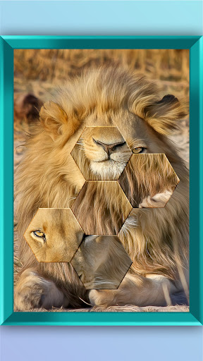 Jigsaw Puzzle - Jigsort Master Screen 2