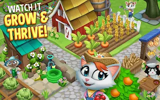 Kitty City - Screenshot 3