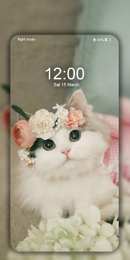 Cute Cat Wallpaper Live HD 4K screenshot 7