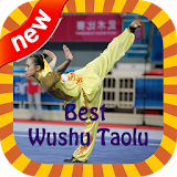 Best Video Wushu Kungfu Taolu icon