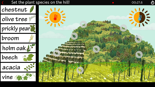 Walking in the Euganean Hills