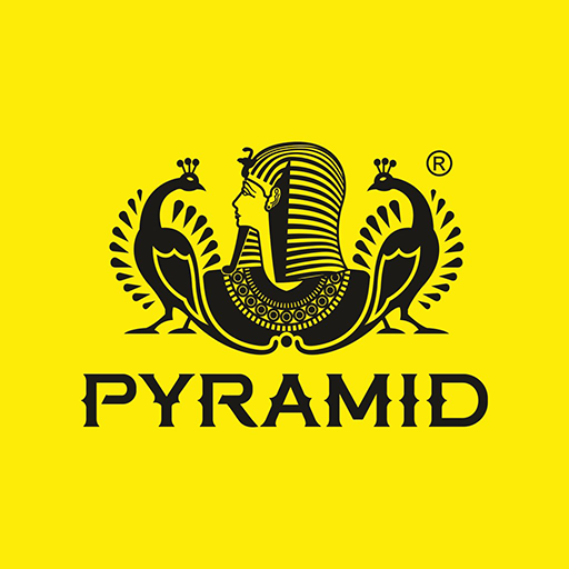 Pyramid Driver logo