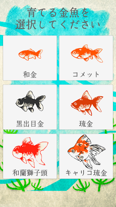 癒しの金魚育成ゲームのおすすめ画像4