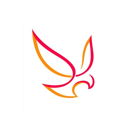 BALAJI INVESTMENT logo